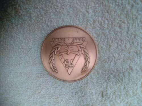 SAAF 75 MEDALLION