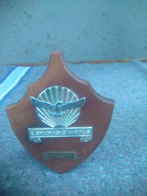 SA AIRFORCE GYMNASIUM PLAQUE -1975