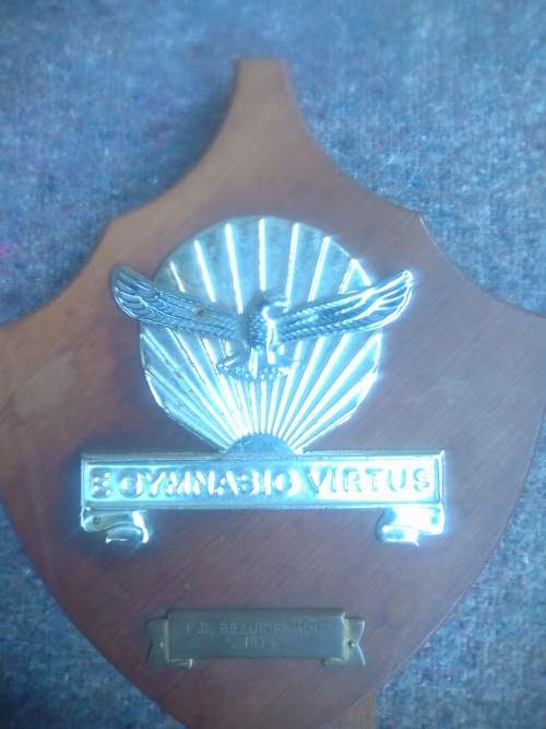 SA AIRFORCE GYMNASIUM PLAQUE -1975