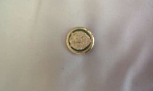 SA PRISON SERVICES SHOULDER BADGE