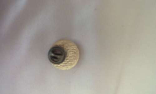 SA PRISON SERVICES SHOULDER BADGE