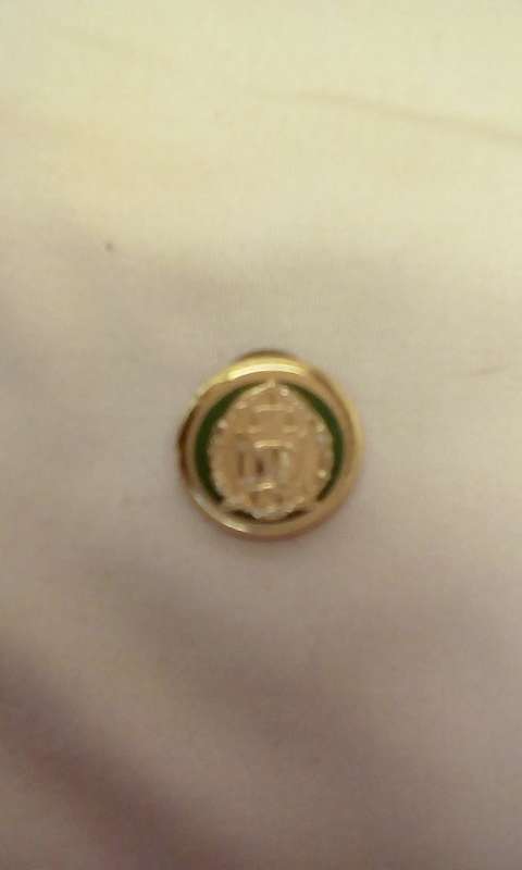 SA PRISON SERVICES SHOULDER BADGE