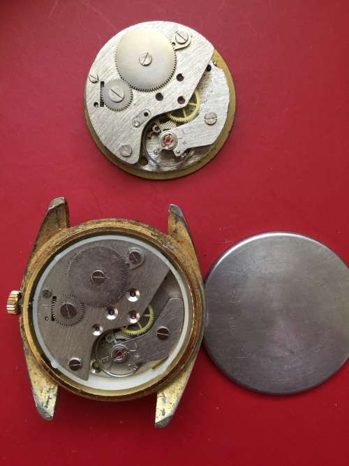 Homegat watch