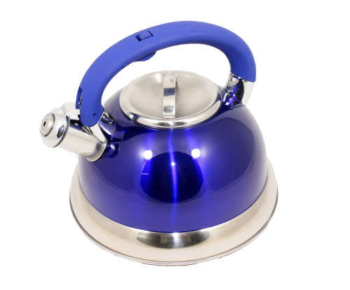 ENERGY SAVING WHISTLING Stainless KETTLE 3L Works on Gas, Electric stove( BLUE)