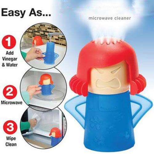 Microwave Cleaner and Fridge Deodorizer.