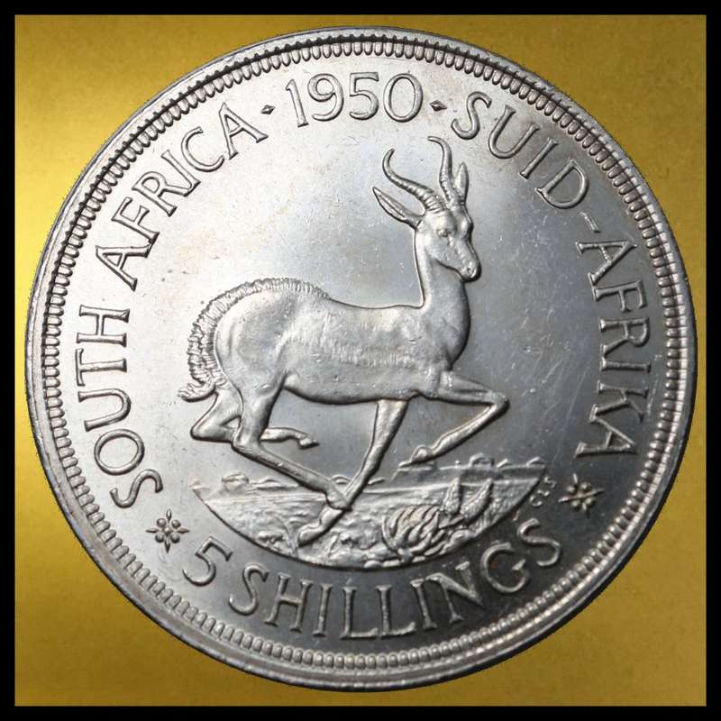 1950 : Uni of  S. A.: High Grade 5 Shillings (MS) Conditions, Scare Coin and Rare in this Grade..