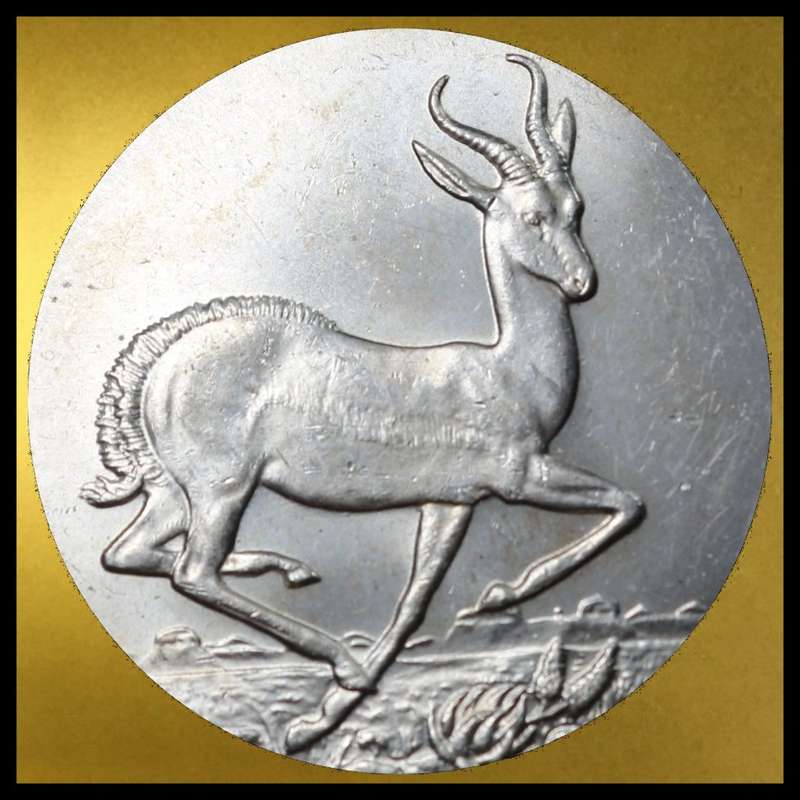 1950 : Uni of  S. A.: High Grade 5 Shillings (MS) Conditions, Scare Coin and Rare in this Grade..