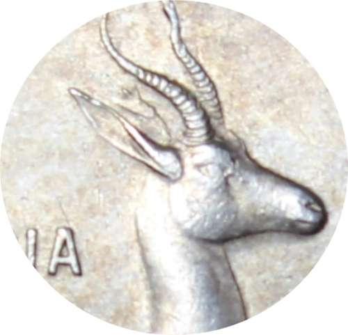 1966 Rep of S.A. : 1 Rand : `Tagged ear` in Very Very Good Cond/Almost UNC, as per Photo.