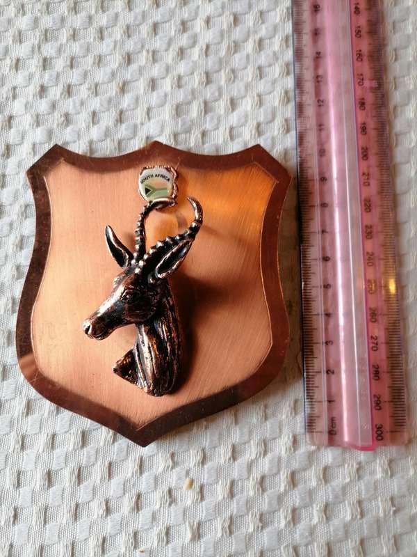 Spingbok wallmount