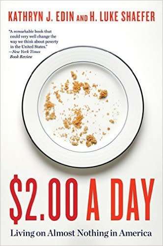 $2.00 a Day: Living on Almost Nothing in America - by Kathryn J. Edin, H. Luke Shaefer