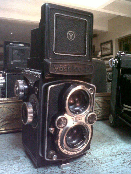 Yashica D Twin Lens Camera