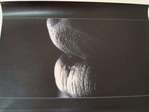 LAPTOP SKIN