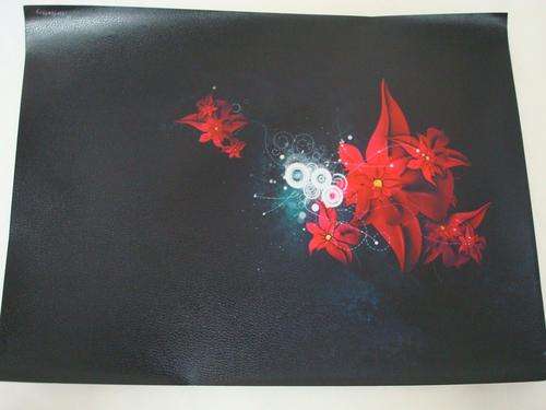 LAPTOP SKIN