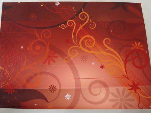 LAPTOP SKIN