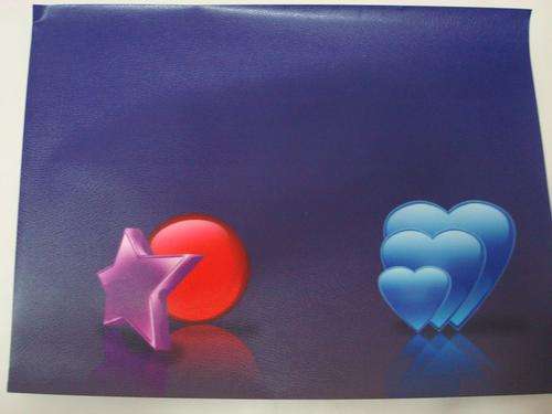 LAPTOP SKIN