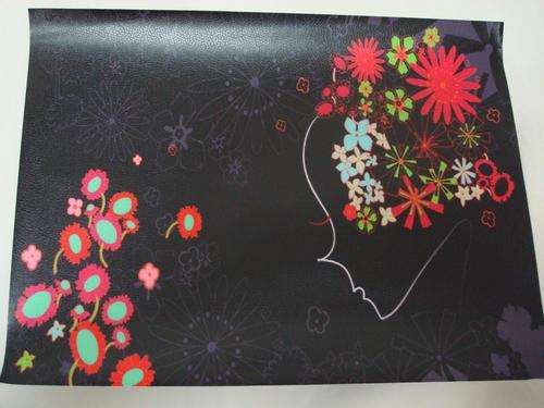 LAPTOP SKIN