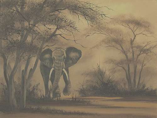 DANE WILLERS - ELEPHANT - LOVELY OIL PAINTING STRETCHED CANVAS- 400 X 300mm -SEE OUR LISTINGS