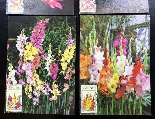 1985 POSTCARD SET OF 4 - SA FLORAL EMIGRANTS- LIKE NEW - BID PER CARD x4 - UN-USED