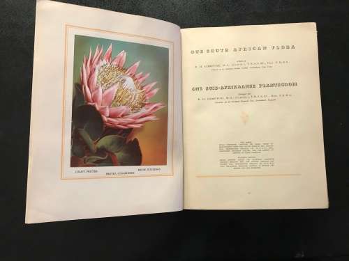 1940 VINTAGE BOOK - OUR SOUTH AFRICA * FLORA * BY R. H COMPTON - 100 PAGE LIVE PICTURES - GOOD COND.
