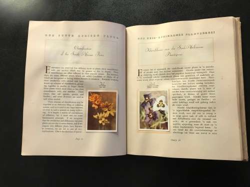 1940 VINTAGE BOOK - OUR SOUTH AFRICA * FLORA * BY R. H COMPTON - 100 PAGE LIVE PICTURES - GOOD COND.