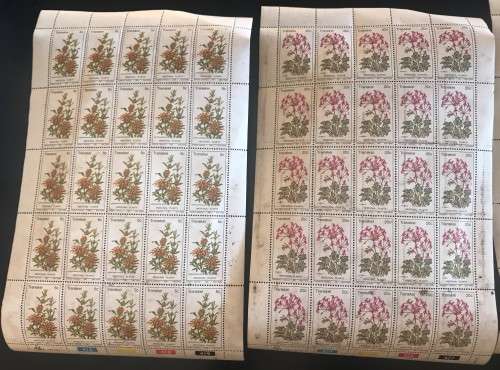 MIXED STAMP SHEETS -PLANTS + TRANSKEI + RSA HEALTH YEAR + FLOWERS - TOTAL OF 10 SHEETS 10 BIDS