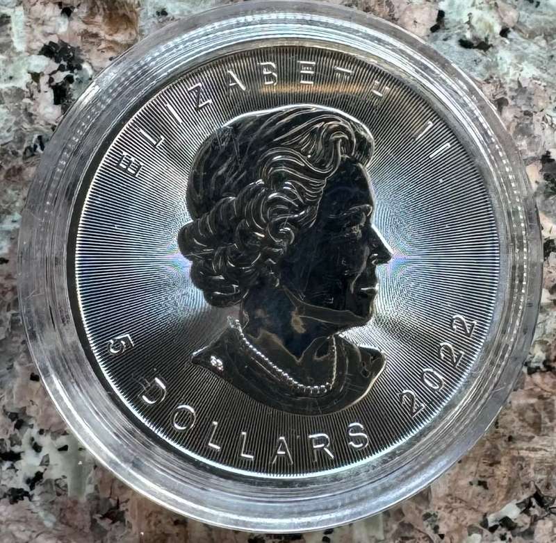 2016 CANADA MAPLE LEAF - 1oz Silver rounds