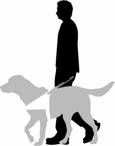 Donate to the South African Guide-Dogs Association for the Blind