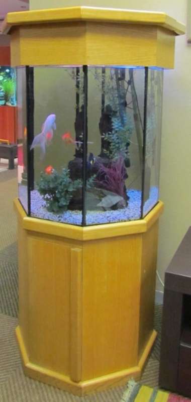 FISH TANK=AQUARIUM=Hexagonal in solid OAK Cabinet with Lighting,Gravel,Plastic Plants & Rocks!!!!!!!