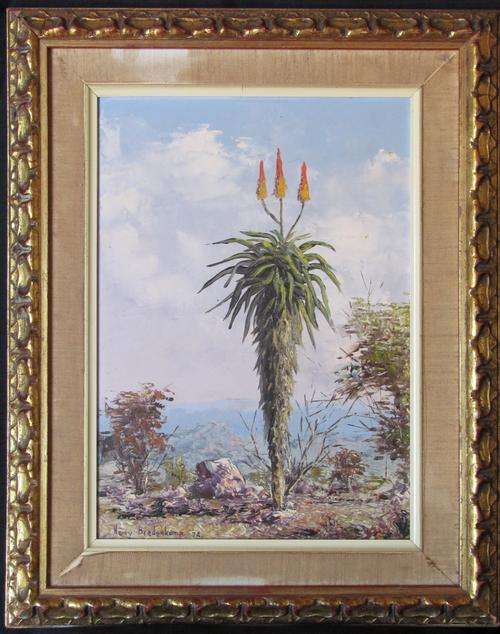 BREDENKAMP, HENRY=EARLY WORK=1974=ALOE IN THE BUSHVELD=OIL PAINTING=SA Artist!=MAKE an OFFER????????