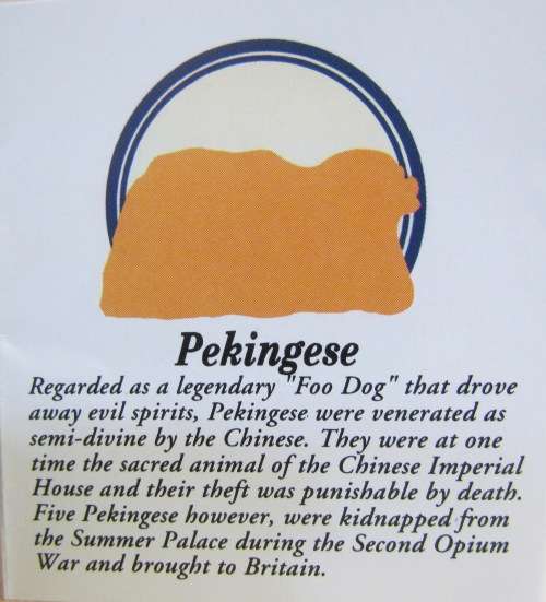 PEKINGESE DOG PER single DOG ROYAL SELANGOR MALAYSIA PEWTER `Canine Companions` DOGS