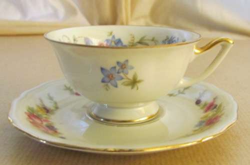 THOMAS=JOHANN HAVILAND=BAVARIA=Demitasse Coffee Expresso Cup & Saucer=GERMANY=FLORAL=STUNNING!!!!!