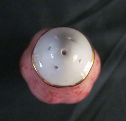 ROYAL ALBERT SALT & PEPPER=GOSSAMER pattern=UNMARKED=Good Condition.