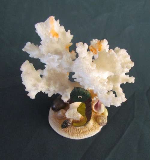 CORAL ORNAMENT on SHELL BASE=Natural Coral=Seahorse=Shells=REEF=SEA.