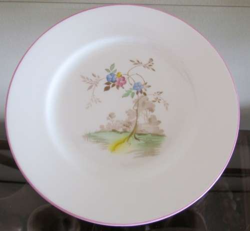 SHELLEY WILD FLOWERS Trio `IDEAL CHINA` WR076 Pink Rims Unusual and Beautiful!!!!!