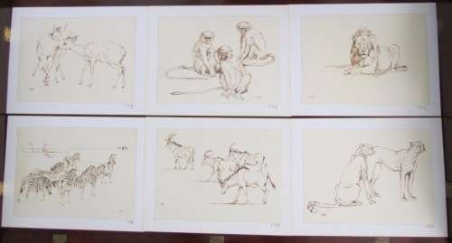 ZAKKIE ELOFF=SA Artist=SIGNED PRINTS=SET of 6=UNFRAMED 310mm x 400mm outer=247mm x 340mm inner.