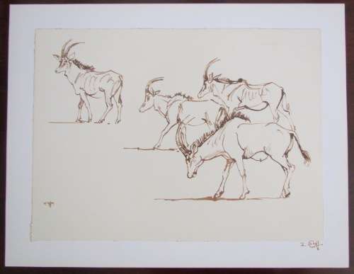 ZAKKIE ELOFF=SA Artist=SIGNED PRINTS=SET of 6=UNFRAMED 310mm x 400mm outer=247mm x 340mm inner.