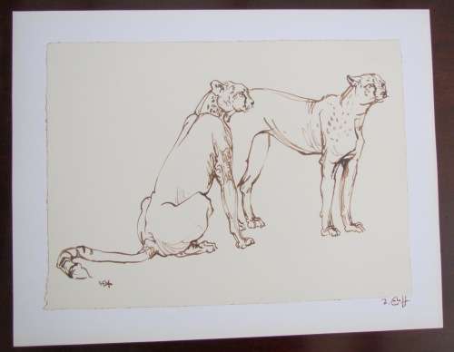 ZAKKIE ELOFF=SA Artist=SIGNED PRINTS=SET of 6=UNFRAMED 310mm x 400mm outer=247mm x 340mm inner.