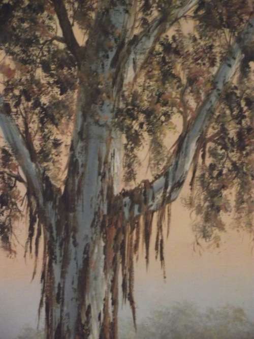 LOUISE REPSOLD Oil Painting `THE GUMTREE` South African Artist Framed 476mm x 782mm high AWESOME!!!