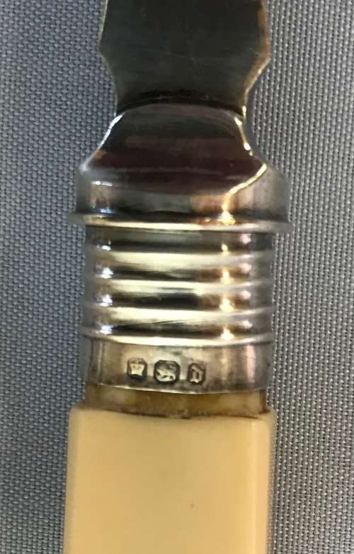 FISH SERVERS SET Sterling Silver Collars EPNS PLASTIC/BONE HANDLES 1895/6 SHEFFIELD ENGLAND BEATSON.