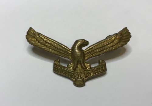 SOUTH AFRICA AIRFORCE BADGE="PER ASPERA AD ASTRA"=SAAF=SALM=DEFENCE FORCE=OFFICIAL EMBLEM=FISH EAGLE