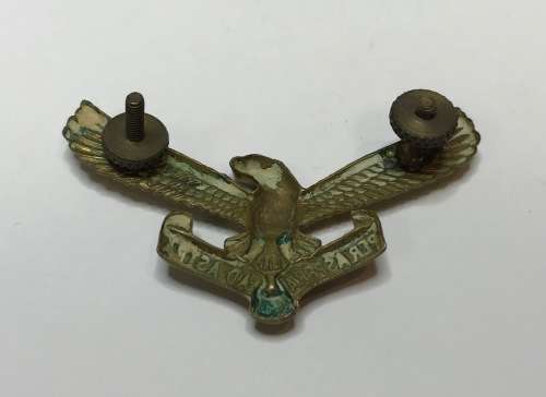SOUTH AFRICA AIRFORCE BADGE="PER ASPERA AD ASTRA"=SAAF=SALM=DEFENCE FORCE=OFFICIAL EMBLEM=FISH EAGLE