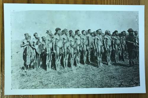 ZULU WAR PHOTOGRAPH 4th Battalion NATAL NATIVE CONTINGENT COPYRIGHT LOCAL HISTORY MUSEUM