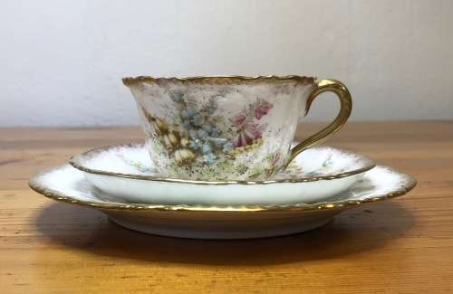 DAVID CHAPMAN and SONS LONGTON ENGLAND TEA SET 6 x TRIO`s CAKE PLATE MILK SUGAR FOXGLOVE FLOWERS!!!!