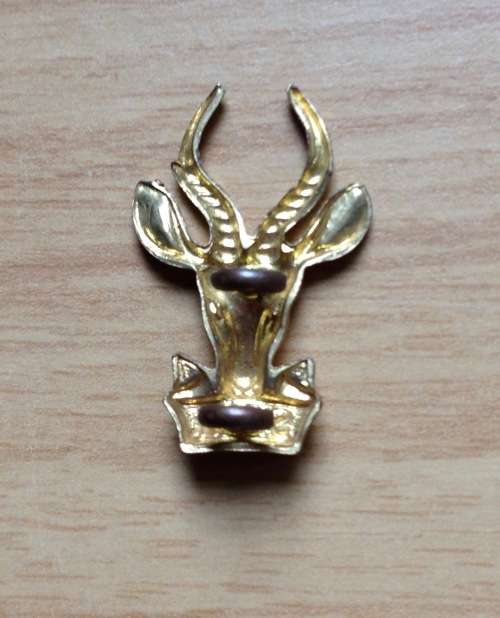 SOUTH AFRICA INFANTRY BERET BRASS BADGE=SPRINGBOK HEAD=LOOPS=SADF=DEFENCE FORCE=ARMY