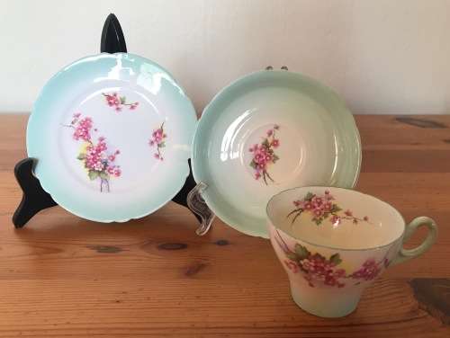SHELLEY BLOSSOM TEA TRIO GREEN SWIRL CAMBRIDGE CUP SHAPE 1938-66 3 piece England 13539 FLOWER 823343