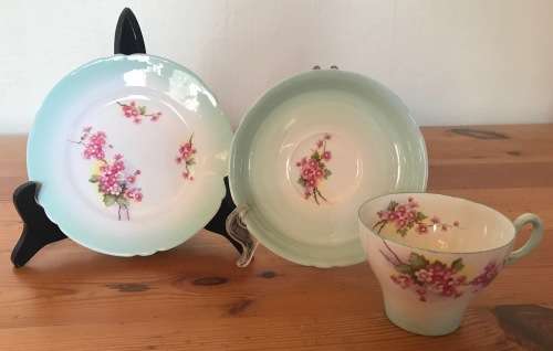 SHELLEY BLOSSOM TEA TRIO GREEN SWIRL CAMBRIDGE CUP SHAPE 1938-66 3 piece England 13539 FLOWER 823343