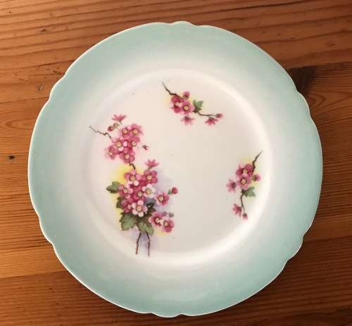 SHELLEY BLOSSOM TEA TRIO GREEN SWIRL CAMBRIDGE CUP SHAPE 1938-66 3 piece England 13539 FLOWER 823343