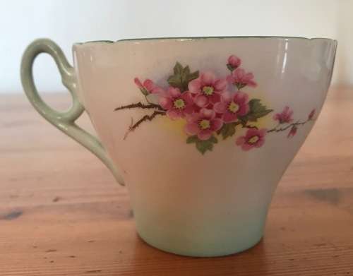 SHELLEY BLOSSOM TEA TRIO GREEN SWIRL CAMBRIDGE CUP SHAPE 1938-66 3 piece England 13539 FLOWER 823343