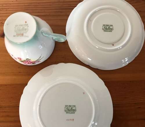 SHELLEY BLOSSOM TEA TRIO GREEN SWIRL CAMBRIDGE CUP SHAPE 1938-66 3 piece England 13539 FLOWER 823343
