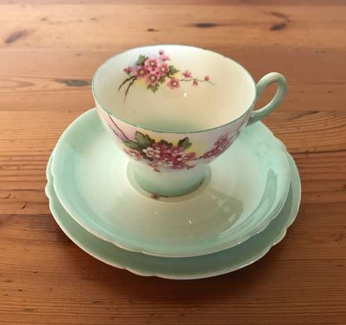 SHELLEY BLOSSOM TEA TRIO GREEN SWIRL CAMBRIDGE CUP SHAPE 1938-66 3 piece England 13539 FLOWER 823343